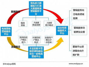 2016中國(guó)電商數(shù)字營(yíng)銷(xiāo)市場(chǎng)專(zhuān)題報(bào)告 數(shù)字技術(shù)服務(wù)的崛起與變革
