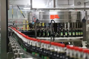 數(shù)字技術(shù)服務(wù)暗流洶涌 湖南知名企業(yè)47億“蛇吞象”收購(gòu)背后的危機(jī)警示