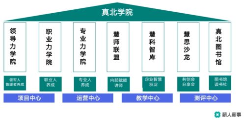 薪人薪事線上沙龍 以數字化創新技術為引擎，驅動學習型組織構建