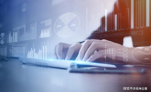 數字技術服務企業政策申報秘籍 成功率提升100%的實操指南